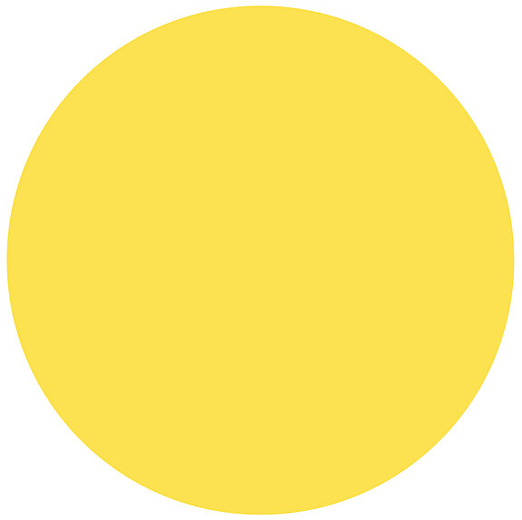 Point_yellow.jpg  